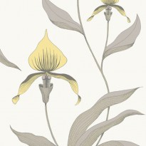 Cole and Son Contemporary Restyled Orchid 95-10057 Yellow Grey